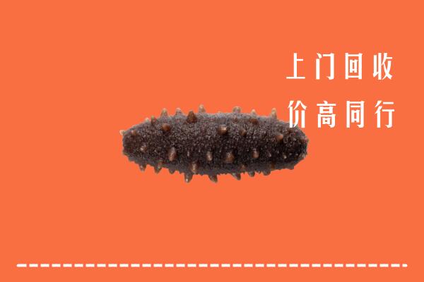 高价求购：杭州拱墅区回收海参